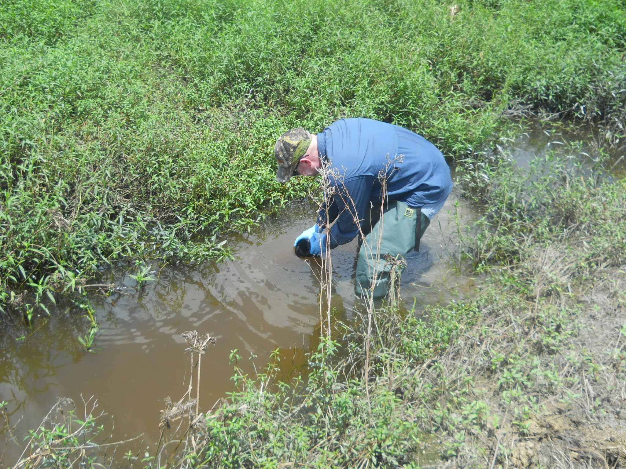 Water Quality 1